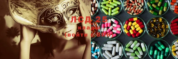 ешки Горняк