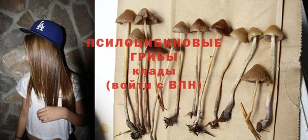 соль ск Абаза