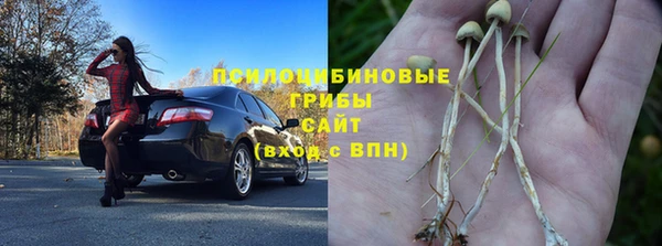 гидропоника Абдулино