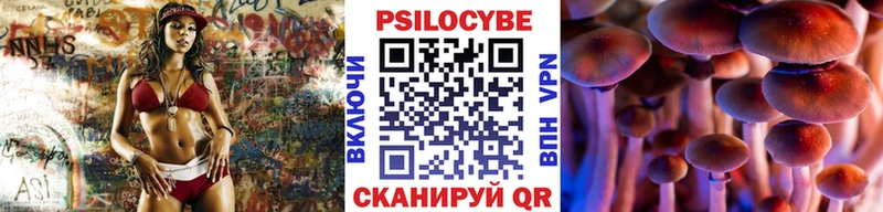Галлюциногенные грибы Psilocybine cubensis  Кедровый 