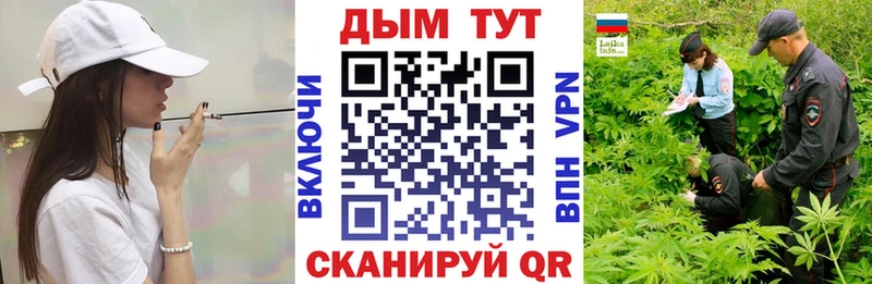 Конопля SATIVA & INDICA  сайты даркнета официальный сайт  Кедровый 
